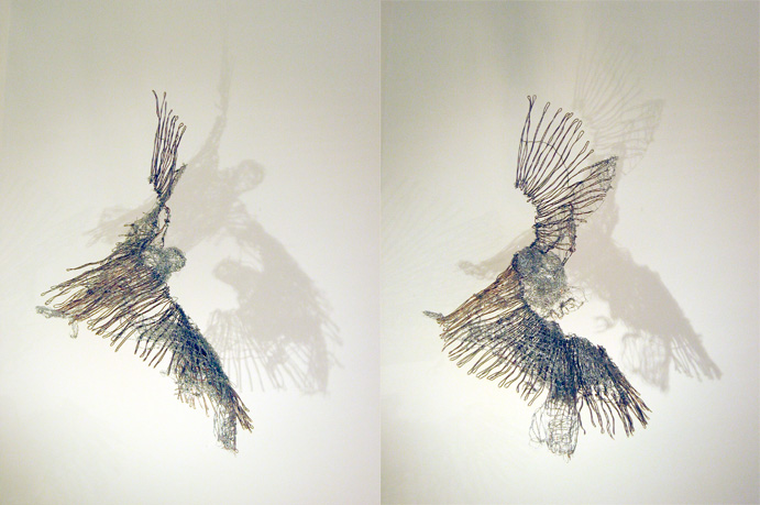 Transformations
Birds